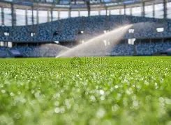 澳门,年度体育英,才表彰盛典,BB贝博艾弗森体育,BB,BB贝博艾弗森体育网址,BB贝博艾弗森app,BB贝博艾弗森官网,BB贝博艾弗森集团