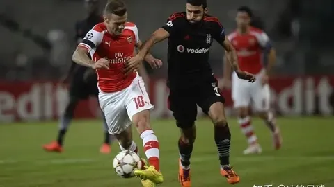 BB贝博艾弗森体育