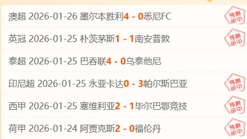 BB贝博艾弗森体育