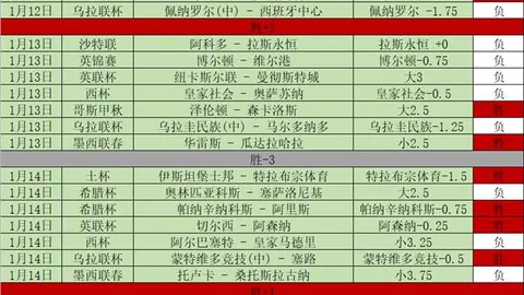 BB贝博艾弗森体育