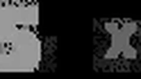 武磊助上海海港客场击败南通支云，独占风头中超赛果双响