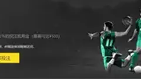 BB贝博艾弗森体育